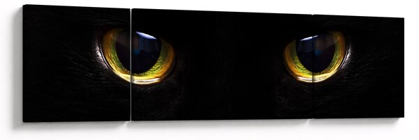 Obraz - Kočičí oči (170x50 cm)