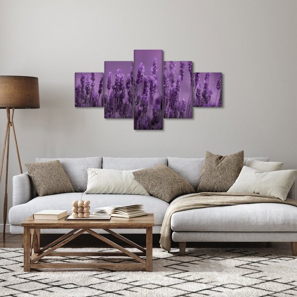 Obraz - Levandule (125x70 cm)