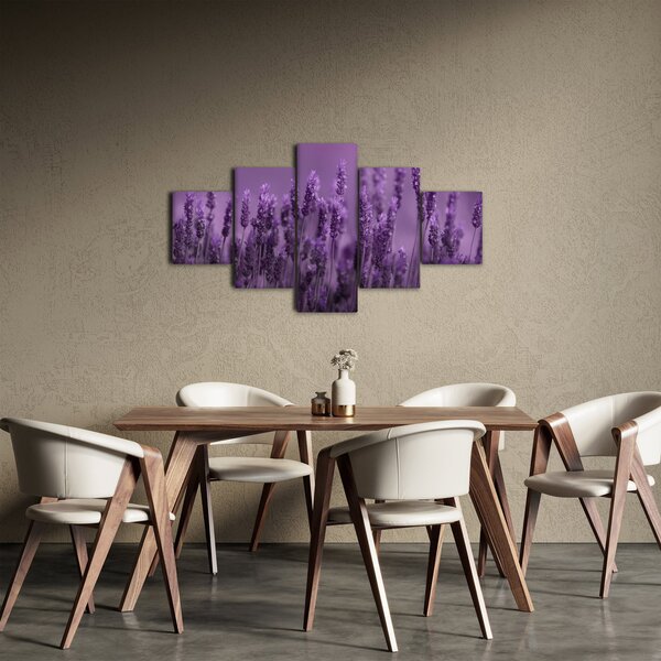 Obraz - Levandule (125x70 cm)