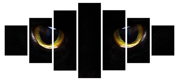 Obraz - Kočičí oči (210x100 cm)