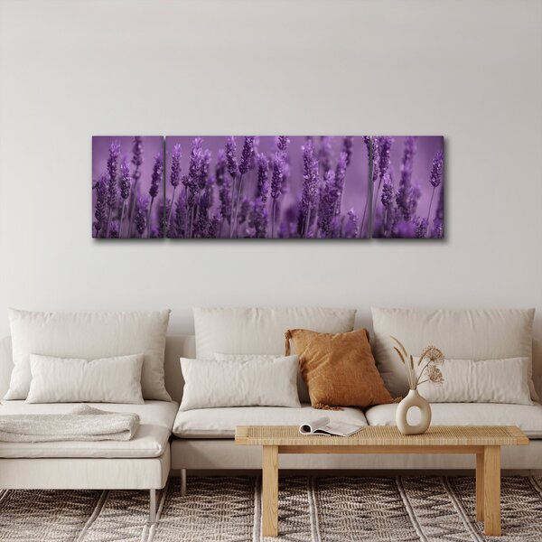 Obraz - Levandule (170x50 cm)