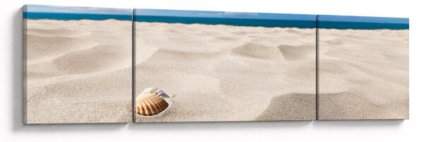 Obraz - Mušle na pláži (170x50 cm)
