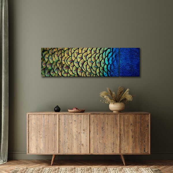Obraz - Páví peří (170x50 cm)