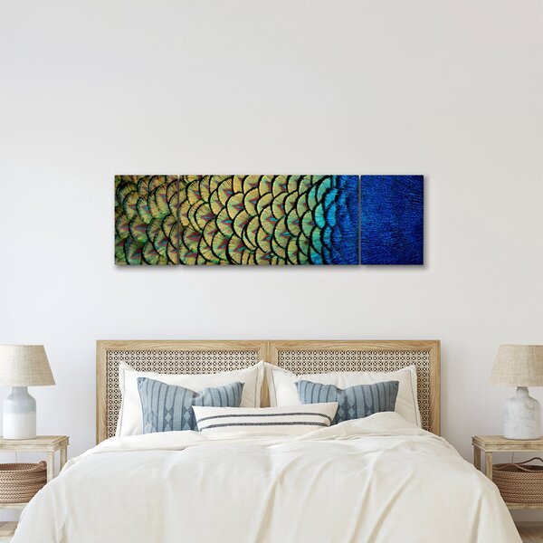 Obraz - Páví peří (170x50 cm)