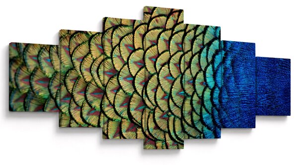 Obraz - Páví peří (210x100 cm)