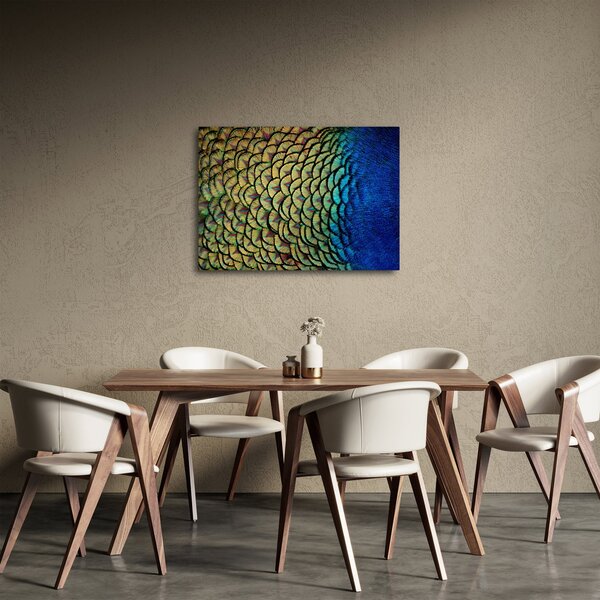 Obraz - Páví peří (70x50 cm)