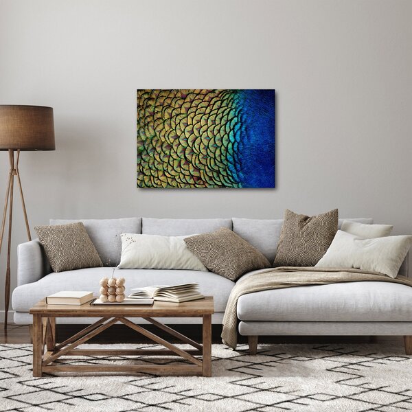 Obraz - Páví peří (70x50 cm)