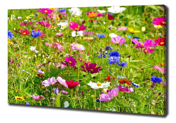 Foto obraz na plátně Plolní květiny pl-oc-100x70-f-169402975