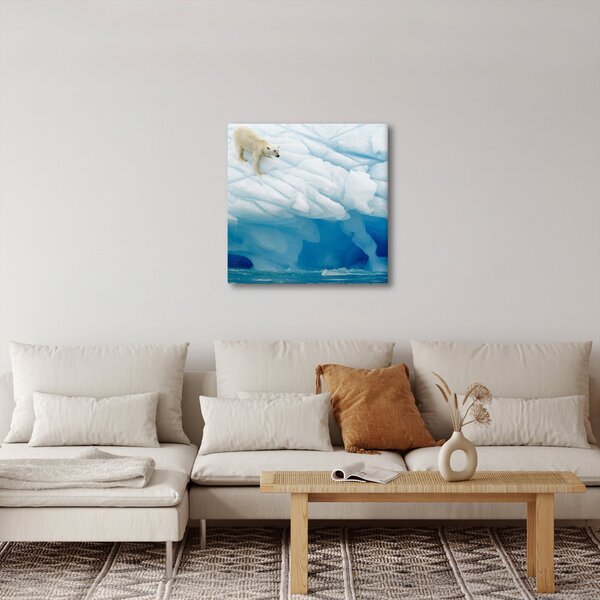 Obraz - Polární medvěd (30x30 cm)