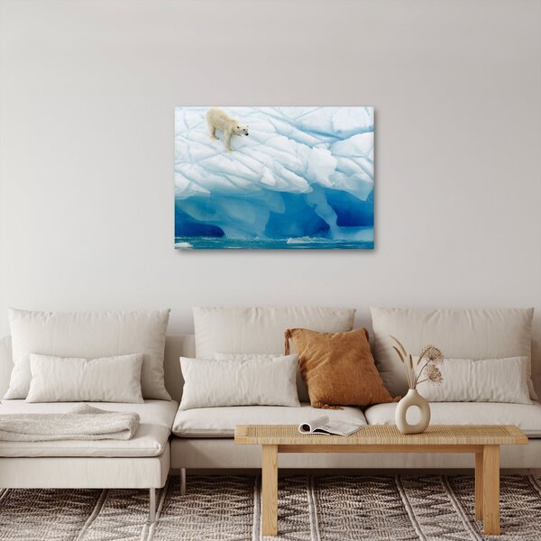 Obraz - Polární medvěd (70x50 cm)