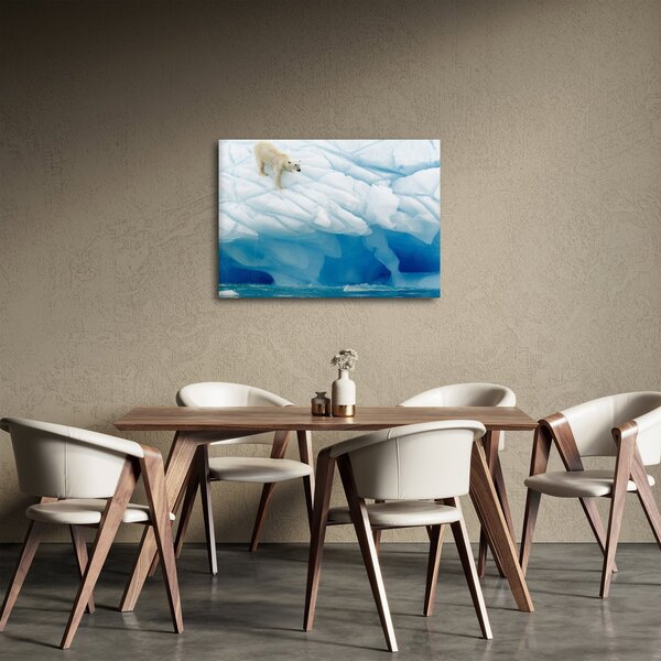 Obraz - Polární medvěd (70x50 cm)