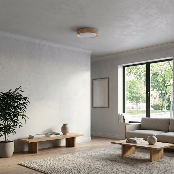 Brilagi - LED Stropní svítidlo FLOCO LED/24W/230V pr. 30 cm dřevo/bílá