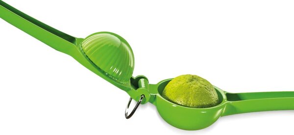 Lis na limetky LIMETTA - Cilio