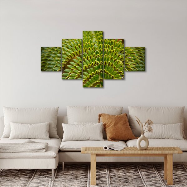 Obraz - Kapradina (125x70 cm)