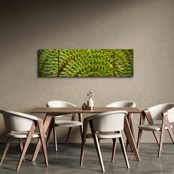 Obraz - Kapradina (170x50 cm)