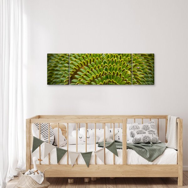 Obraz - Kapradina (170x50 cm)