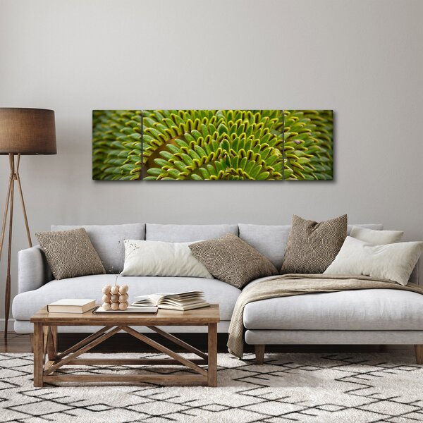 Obraz - Kapradina (170x50 cm)