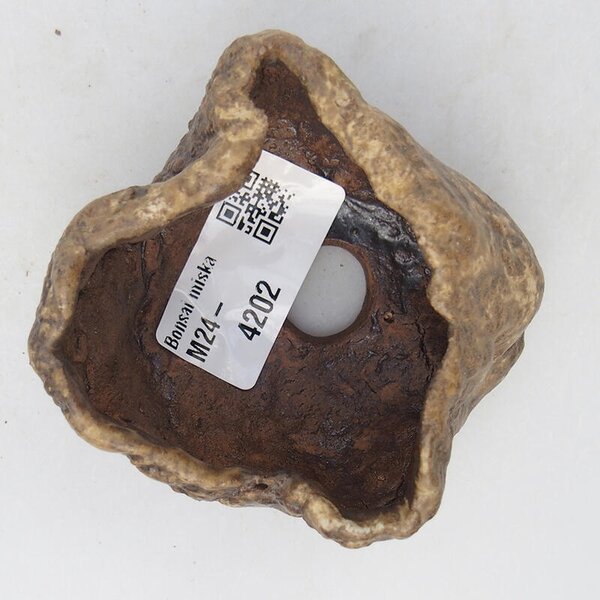 E-bonsai Keramická Skořápka 6 x 6 x 4,5 cm béžová