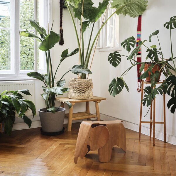 Vitra designové stoličky Eames Elephant