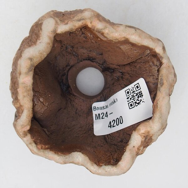 E-bonsai Keramická Skořápka 8 x 8 x 5 cm béžová