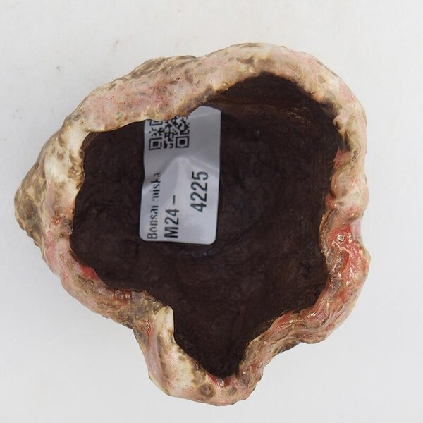 E-bonsai Keramická Skořápka 7 x 7 x 5,5 cm růžová