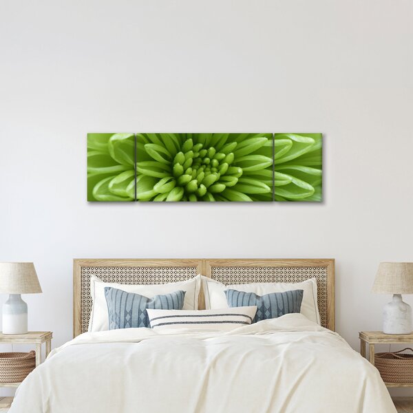 Obraz - Makro snímek rostliny (170x50 cm)