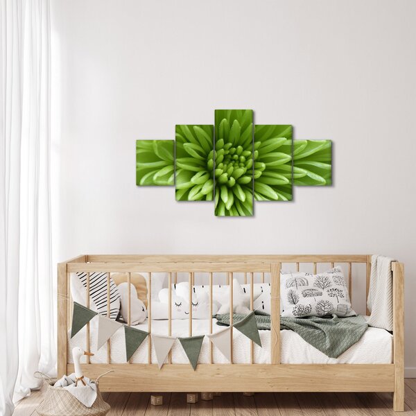 Obraz - Makro snímek rostliny (125x70 cm)