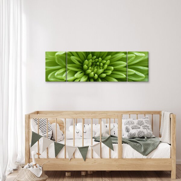 Obraz - Makro snímek rostliny (170x50 cm)