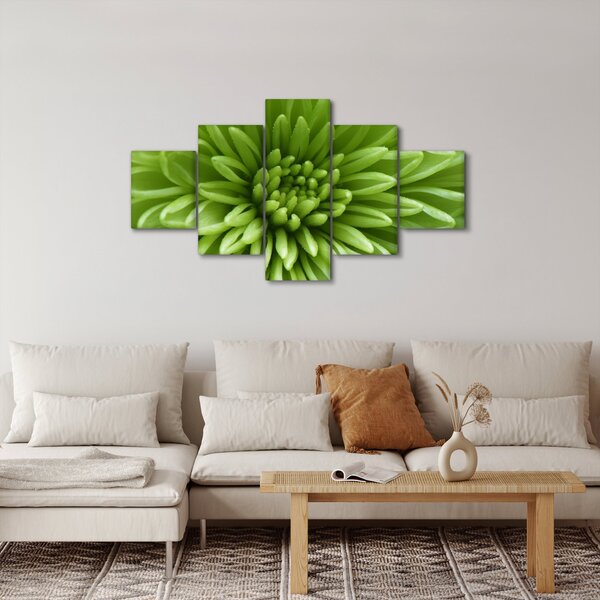 Obraz - Makro snímek rostliny (125x70 cm)