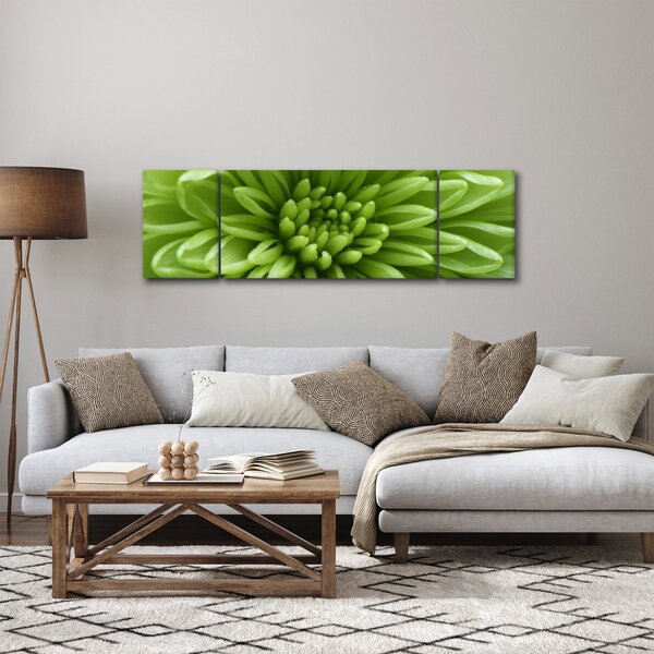 Obraz - Makro snímek rostliny (170x50 cm)