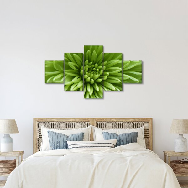 Obraz - Makro snímek rostliny (125x70 cm)