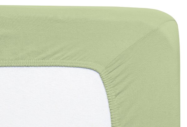 Florella Prostěradlo Avance Jersey 45 Grün Zvolte jeden rozměr prostěradla: 90-100x200 cm