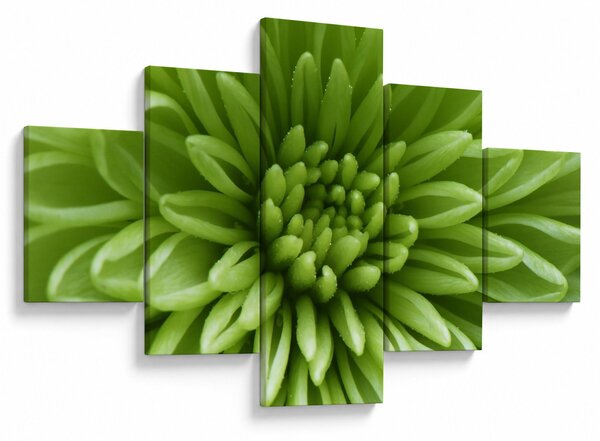 Obraz - Makro snímek rostliny (125x70 cm)