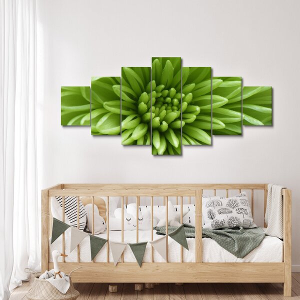 Obraz - Makro snímek rostliny (210x100 cm)