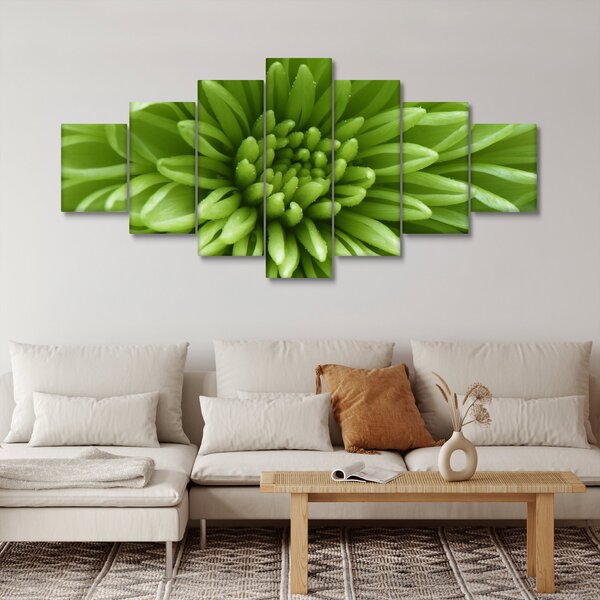 Obraz - Makro snímek rostliny (210x100 cm)