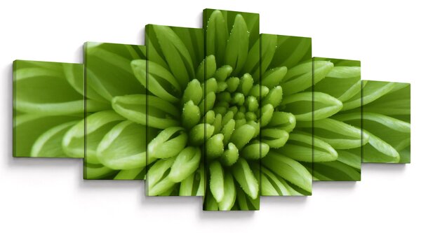 Obraz - Makro snímek rostliny (210x100 cm)