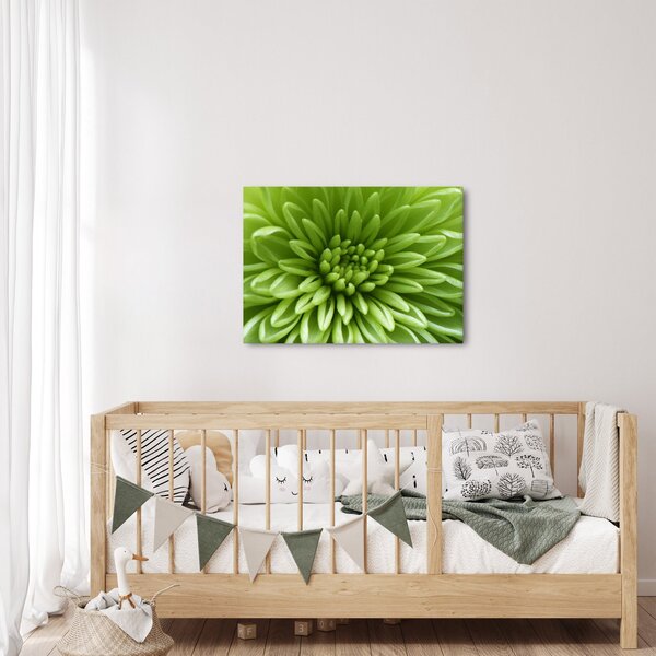 Obraz - Makro snímek rostliny (70x50 cm)