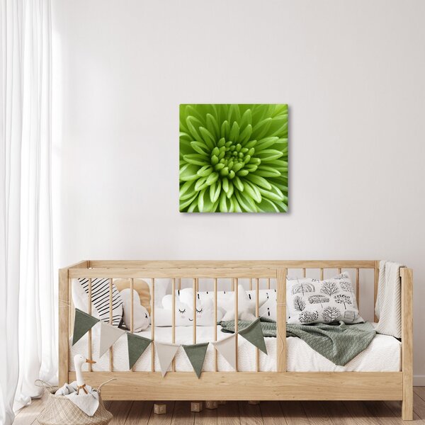 Obraz - Makro snímek rostliny (30x30 cm)