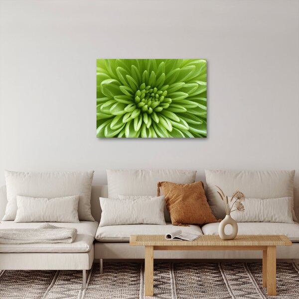 Obraz - Makro snímek rostliny (70x50 cm)