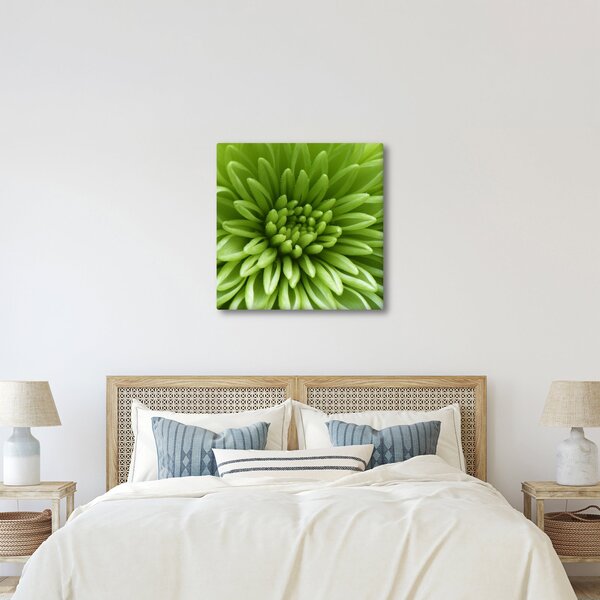Obraz - Makro snímek rostliny (30x30 cm)