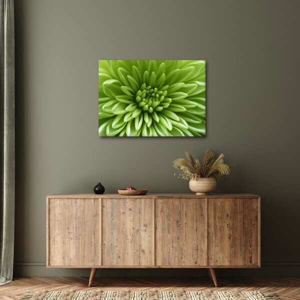 Obraz - Makro snímek rostliny (70x50 cm)