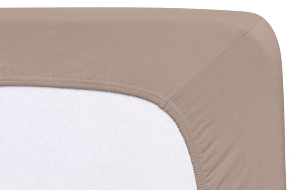 Florella Prostěradlo Avance Jersey Elastan Koreander Zvolte jeden rozměr prostěradla: 140-160x200-220 cm