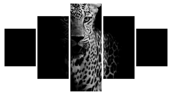 Obraz - Portrét leoparda (125x70 cm)
