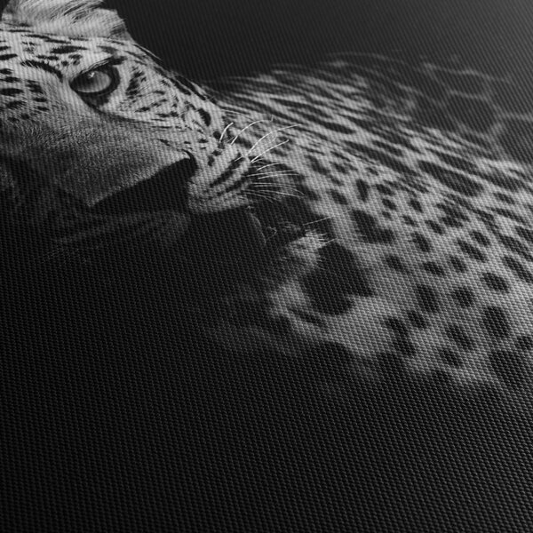 Obraz - Portrét leoparda (125x70 cm)