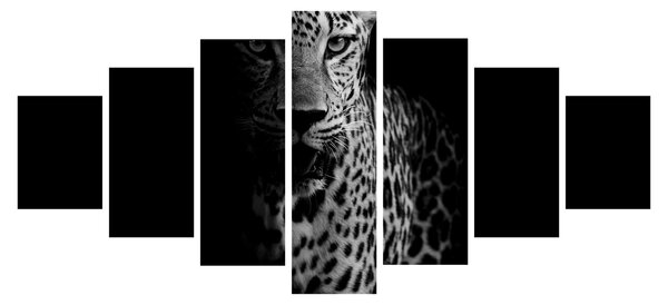 Obraz - Portrét leoparda (210x100 cm)