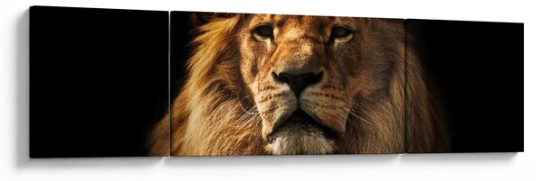 Obraz - Lev s bohatou hřívou (170x50 cm)