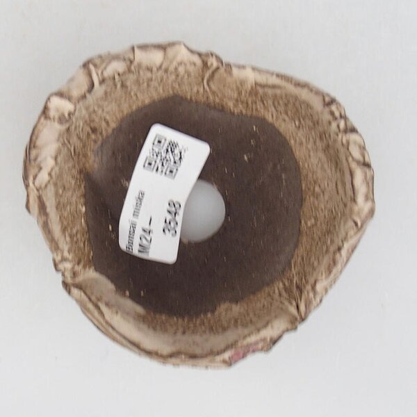 E-bonsai Keramická Skořápka 9 x 8,5 x 5,5 cm béžová