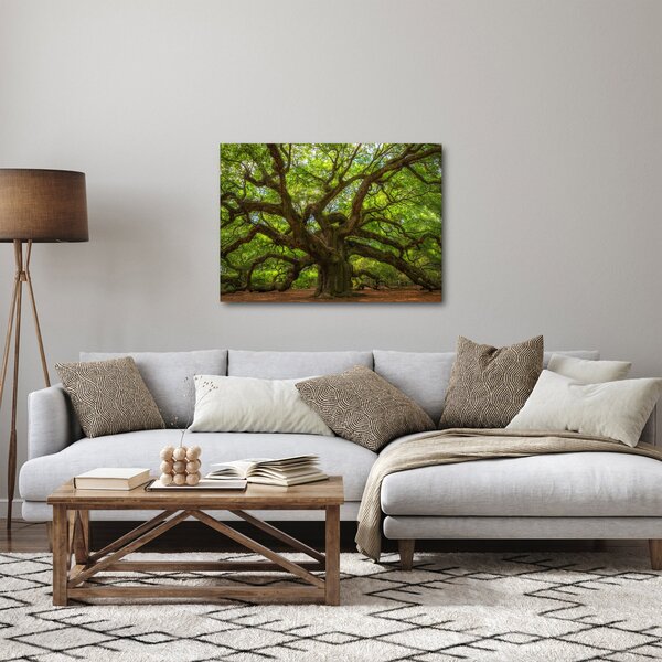 Obraz - Zelený strom (70x50 cm)