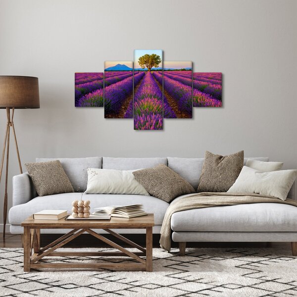 Obraz - Levandulové pole (125x70 cm)