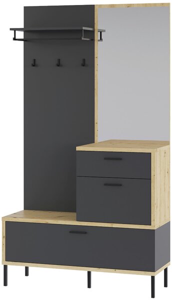ŠATNA, 113/197/40 cm Carryhome - Online Only šatny & botníky, Online Only